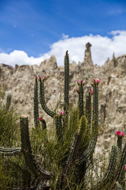 Valle de la luna in bolivia