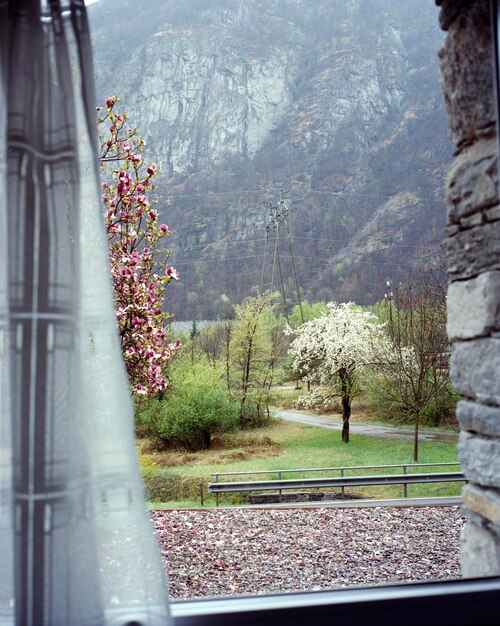 Photo valle maggia seen through ferry boat window