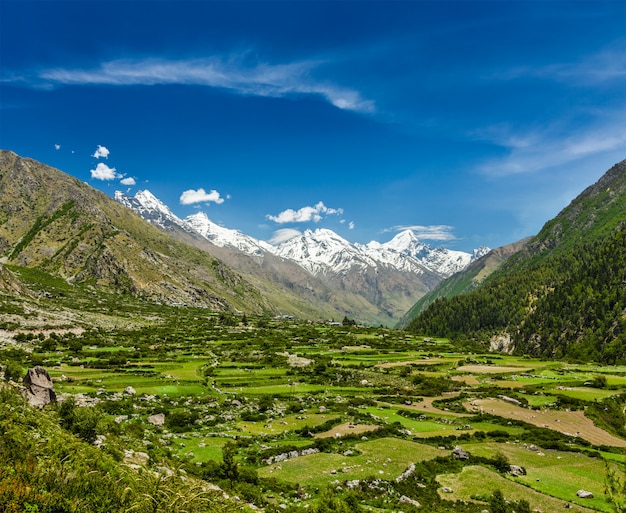 Vallei in de Himalaya