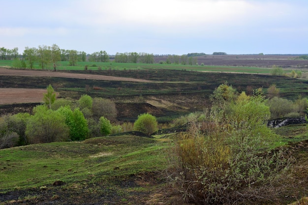 vallei met heuvels en verbrand landbouwgebied in bewolkte dag kopie ruimte