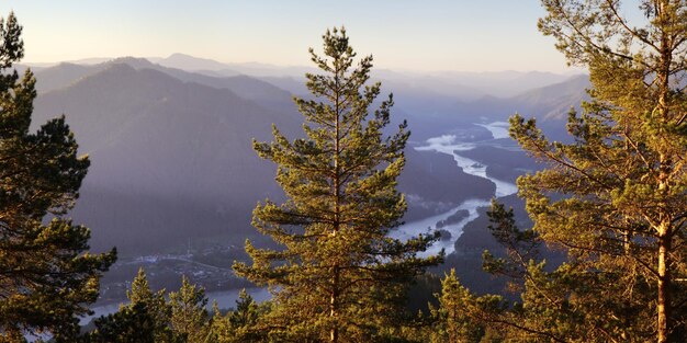 Vallei van de Katun-rivier in het Altai-gebergte op een zomerochtend uitzicht vanaf de top