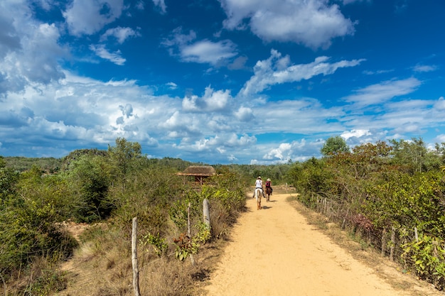 Vallei van de Vinales