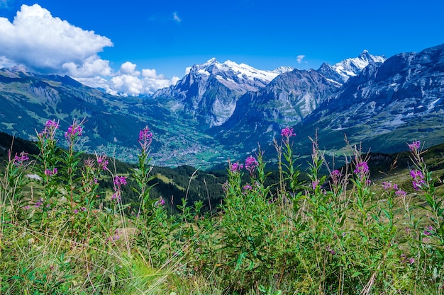 Vallei van Grindelwald