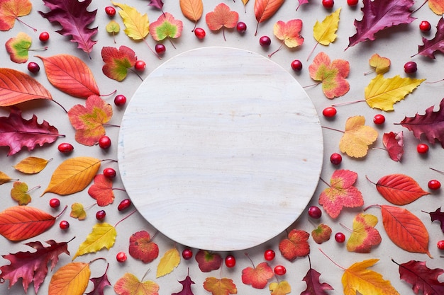 Vallen cirkelvormige achtergrond met verschillende herfstbladeren, rood, oranje en geel. Bovenaanzicht, regeling op witte steenachtergrond, exemplaar-ruimte.