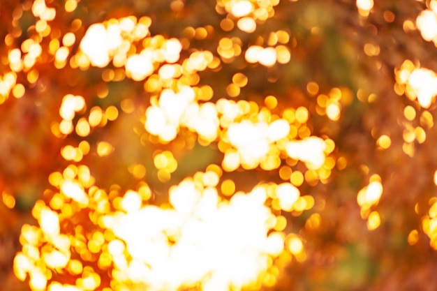 Foto vallende bladeren natuurlijke wazig bokeh achtergrond wazig vallende bladeren natuurlijke bokeh achtergrond