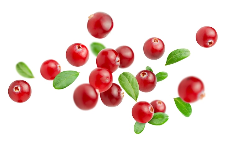 Foto vallende cranberry bessen met bladeren op een witte geïsoleerde achtergrond