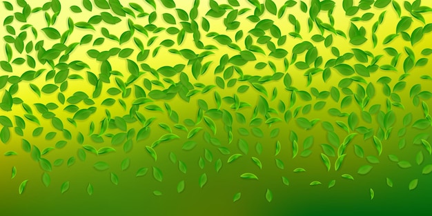 Vallende groene bladeren verse thee chaotische bladeren vliegen voorjaar gebladerte dansen op witte achtergrond Aantrekkelijk zomer overlay sjabloon schattig lente verkoop vectorillustratie