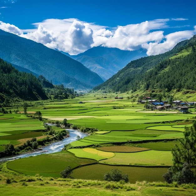 Valley in bhutan near punakha with rice fields and typical house
