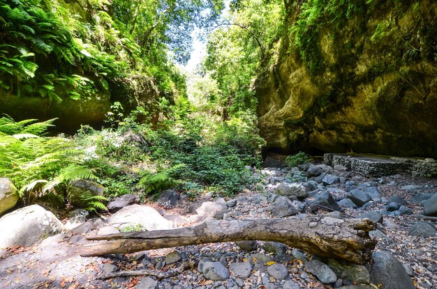 Photo valley in the canary islands