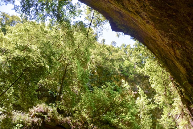 Valley in the Canary Islands