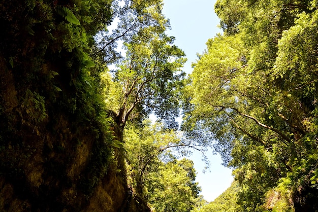 Valley in the Canary Islands