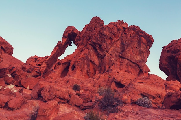 Valley of Fire State Park, Nevada, USA