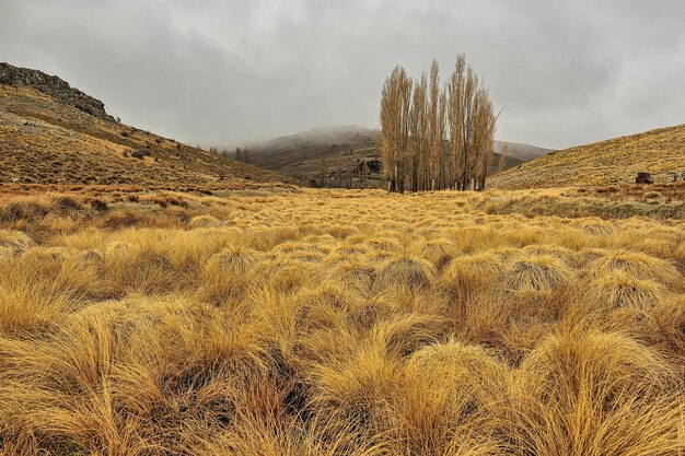 Valley of the gypsy gorge in the sierra de baza natural park