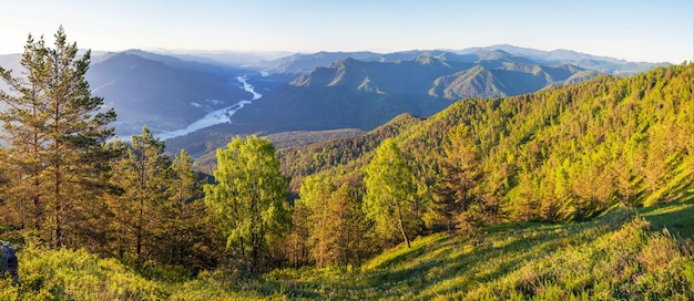 Valley of the Katun river in the Altai mountains on a summer morning view from the top