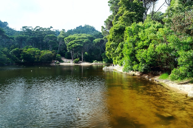 ペナの公園で湖の谷