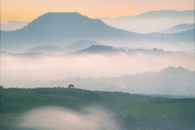 Valley in the morning With dense fog