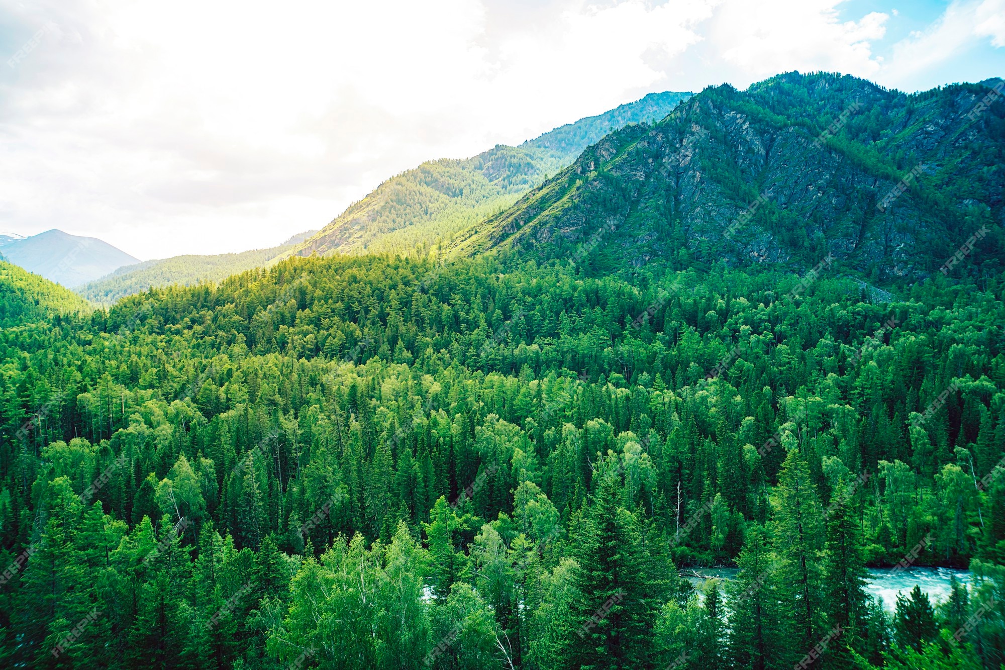 287 Rogue River Stock Photos, High-Res Pictures, and Images - Getty Images