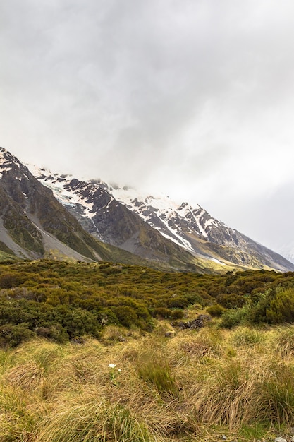 Valley near Hooker Lake Southern Alps New Zealand
