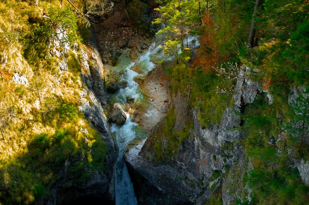 Valley stream autumn maple red Neuschwanstein Castle forest Germany Bavaria Germany