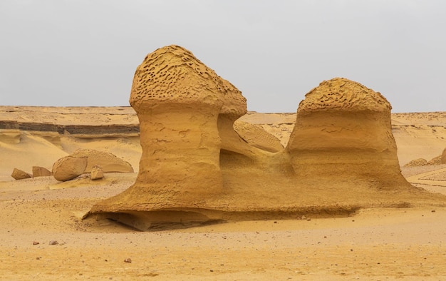 Valley of the Whales or Wadi Al-Hitan. Paleontological site in the Faiyum Governorate of Egypt