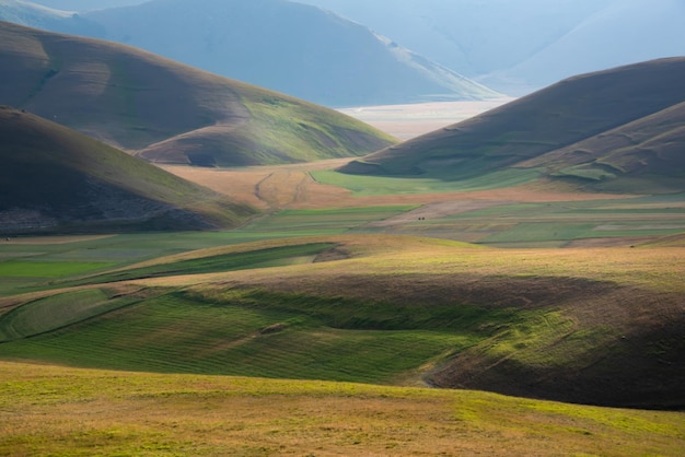 Valley with green agricultural fields in summer