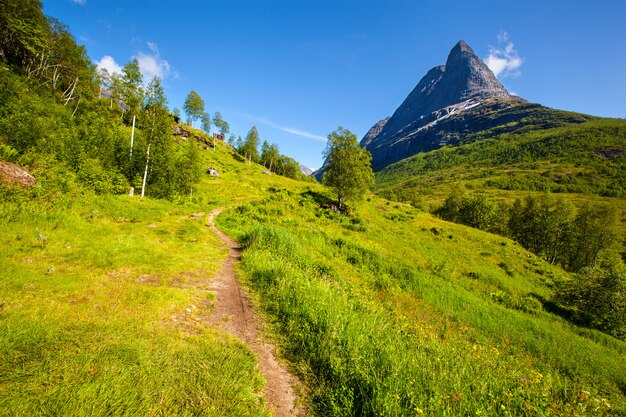 Valley with green grass and trees landscape