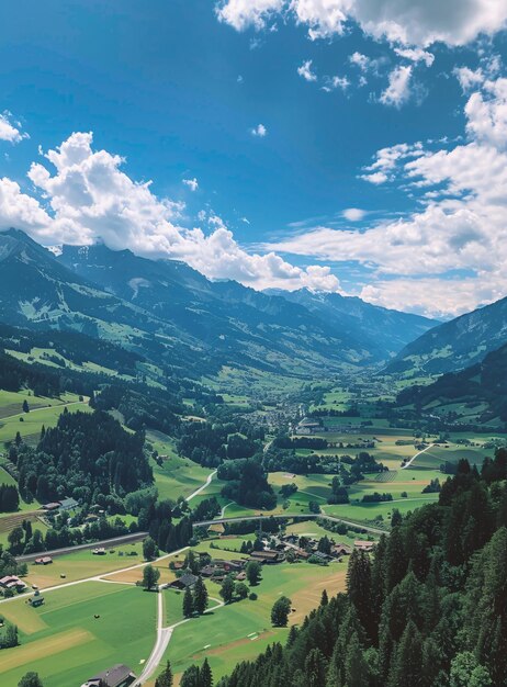 Photo a valley with trees and mountains in the background