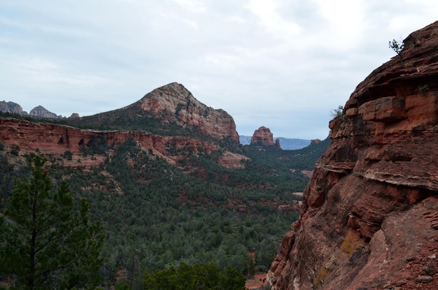 Foto valle con alberi tra red rock buttes