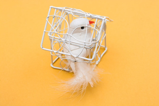 Foto valse vogel opgesloten in een kooi