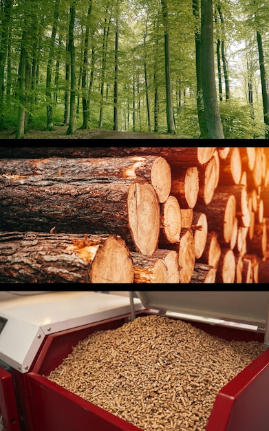 Van bos tot warmte in huizen De reis van de productie van houtpellet Houtpellet voor fornuizen en ketels Duurzaam toekomstconcept