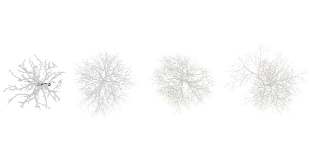 Van boven uitzicht op 3D-weergave van winterbomen op sneeuw geïsoleerde achtergrond