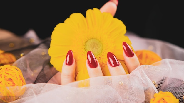 Van bovenaf houden anonieme vrouwen met trendy rode manicure in zijn handen een felgele Gerbera-bloem in een donkere kamer