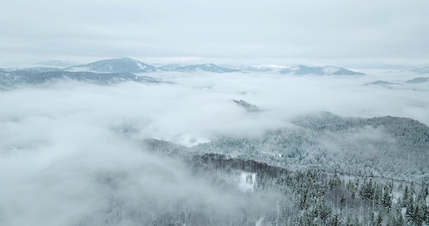 Van grote hoogte sprookjesachtig berglandschap besneeuwde alpine scherpe toppen Wilde winter in de Karpaten Oekraïne Dikke witte wolken Open ruimte luchtfoto 4K