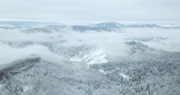 Van grote hoogte sprookjesachtig berglandschap besneeuwde alpine scherpe toppen Wilde winter in de Karpaten Oekraïne Dikke witte wolken Open ruimte luchtfoto 4K