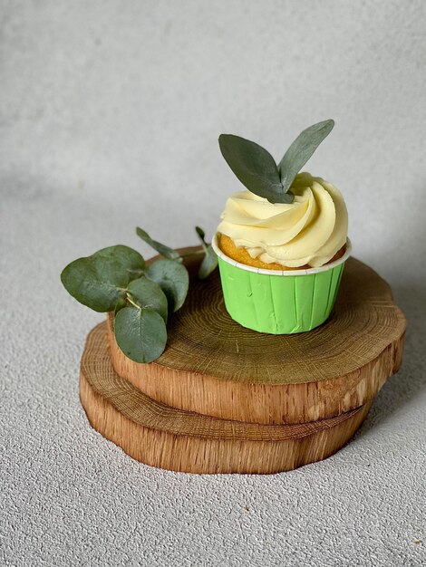 vanilla cupcake decorated with a cream cap and a sprig of eucalyptus on wooden saw cuts