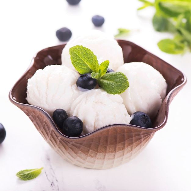 Vanilla ice cream with blueberry