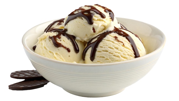 Vanilla Ice Cream with Chocolate Sauce