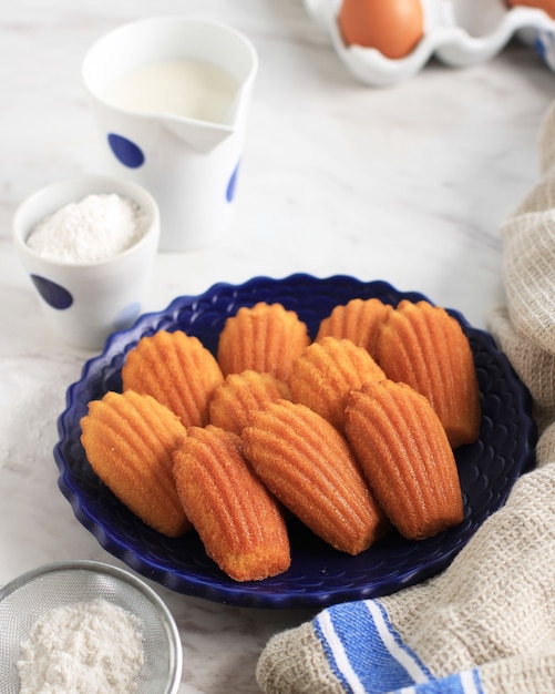 Vanilla Madeleine on White Oval Ceramic Plate. Famous  French Sweet Shell Pastry Cake, Usually Served with Sugar Dusting