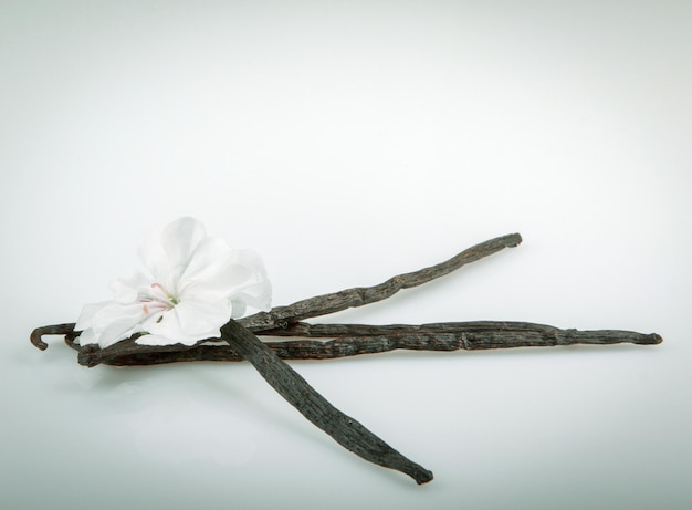 Photo vanilla pods and flower