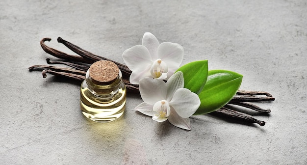 vanilla pods with leaves and essential oil on gray background