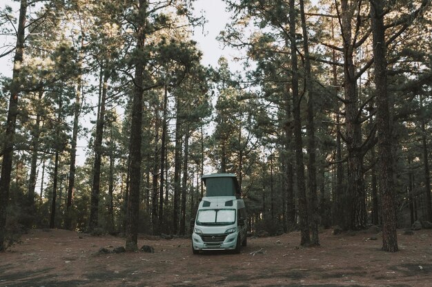 부드러운 지붕 침대가 있는 대체 캠핑카 주택이 있는 Vanlife 및 여행 라이프스타일 숲속 소나무로 둘러싸인 야외 공원에 주차된 현대적인 오프로드 밴 자유 및 휴가 개념