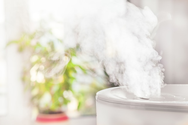 Vapor from humidifier near houseplants