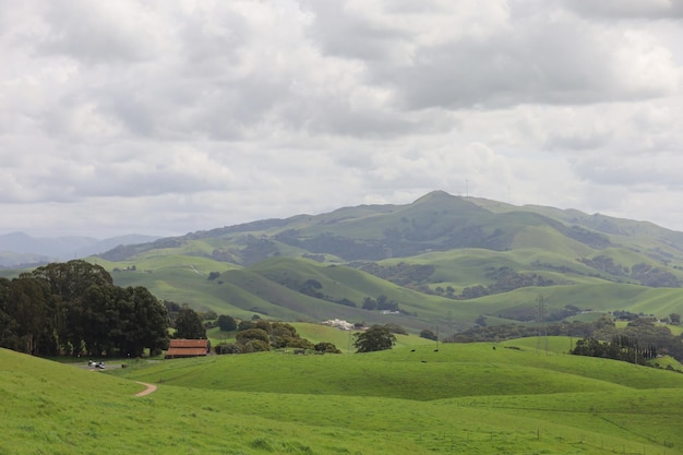 カリフォルニアのヴァルガス高原