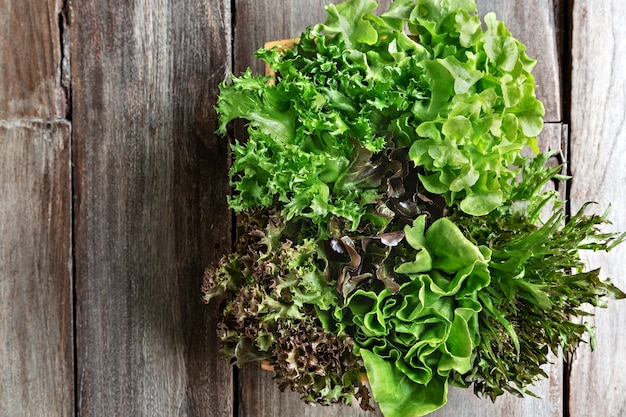 Varieties of Lettuce in wooden basket