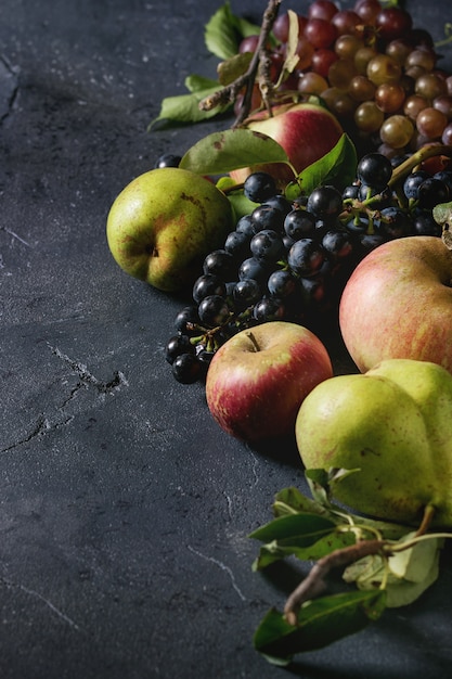 Variety of autumn fruits