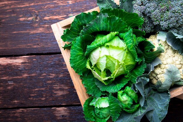 Variety of cabbages in wooden basket