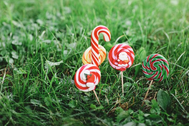 A variety of Christmas candies on green grass. 