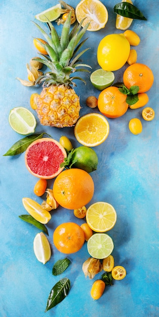 Variety of citrus fruits