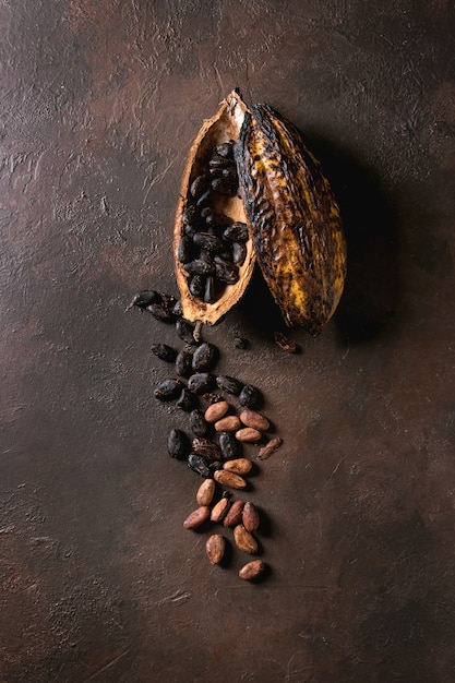 Variety of cocoa beans