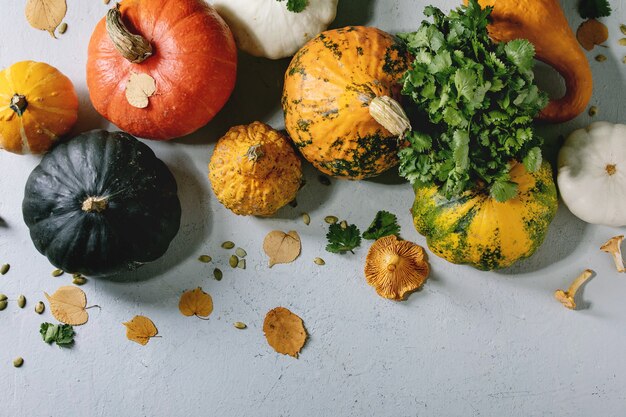 Variety of colorful pumpkins